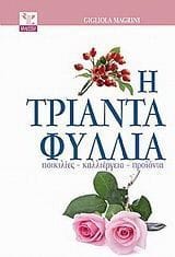 Η τριανταφυλλιά