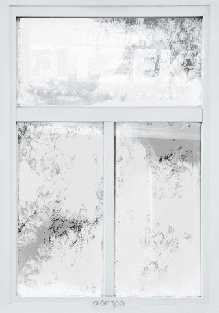 Το κορίτσι του ημερολογίου